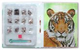 Crystal Creation Wild Tiger With 2000+ Crystals (12 Vivid Colours!)