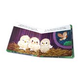 Little Owl (An illustrated story about the life-cycle of an owl)