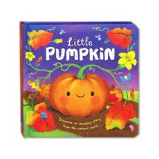 Little Pumpkin (An illustrated story about the life-cycle of a pumpkin)
