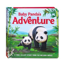 Baby Panda