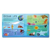 Build a Giant 3D Ocean Scene (Full of Facts about Underwater Animals)