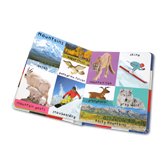 First 100 Words USA Board Book 