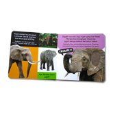 Buku Bersuara Hewan di Hutan with Touch and Feel Sound Board Book