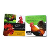 Buku Bersuara Hewan di Peternakan with Touch and Feel Sound Board Book