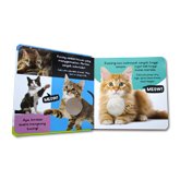 Buku Bersuara Hewan di Rumah with Touch and Feel Sound Board Book