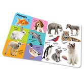 Bilingual 130 Kata Pertama Board Book (2 bahasa: Bhs Indonesia & Inggris)