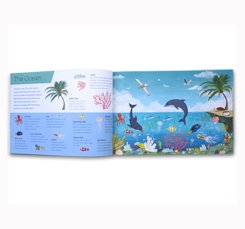 Above and Below Lift the Flaps to See Nature's Wonders Unfold