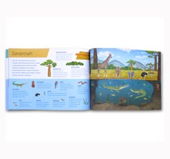 Above and Below Lift the Flaps to See Nature's Wonders Unfold