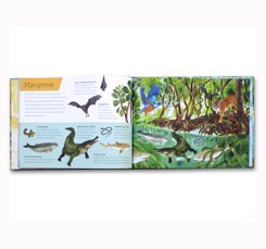 Above and Below Sea and Shore Book (Hardcover) - Lift the Flaps to See Nature's Wonders Unfold