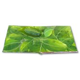 SAMAR PopUp Book