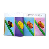 Little Ladybird Stoybook (Discover an Amazing Life Cycle from the Natural World)