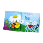 Little Ladybird Stoybook (Discover an Amazing Life Cycle from the Natural World)