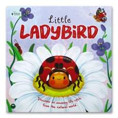 Little Ladybird Stoybook (Discover an Amazing Life Cycle from the Natural World)