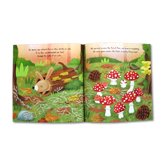 Little Mushroom Stoybook (Discover an Amazing Life Cycle from the Natural World)