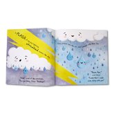 Little Raindrop picture story book