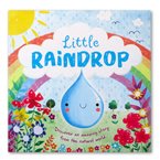 Little Raindrop picture story book
