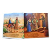 The Nativity Story book