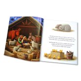 The Nativity Story book