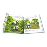 Stories From the Wild - A Treasury of Tales From the Animal Kingdom