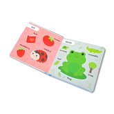Illustrated Touch and Feel First Colours Board Book