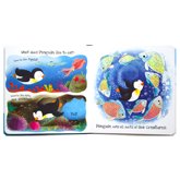 What Does Penguin Like? Touch & Feel Board Book (Full of Fun Textures to Explore!)